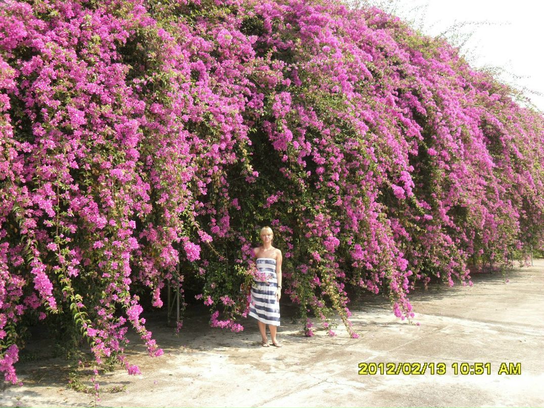 Алёна Подмареваа | Санкт-Петербург
