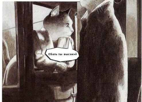 Мишка Тихомиров | Санкт-Петербург