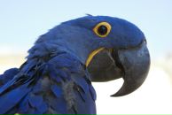 №34 Евгений Загвоздкин 16.10.1988: профиль, фото, статус - ВКонтакте