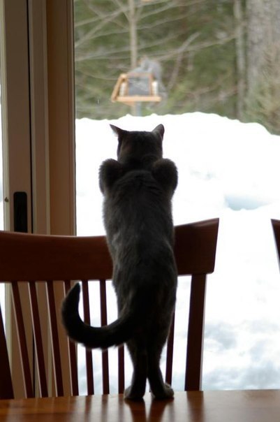 Виталий Тюлькин | Екатеринбург