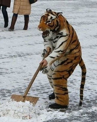 Марк Хижов | Кривой Рог