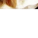 №155, Виталина Мач, Харьков №155, Виталина Мач, Харьков