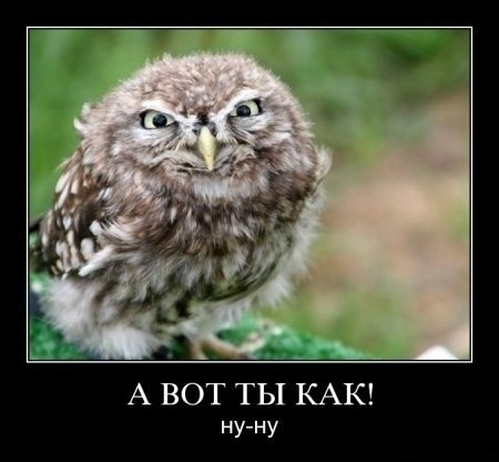 №114, Алёна Логинова, Москва №114, Алёна Логинова, Москва