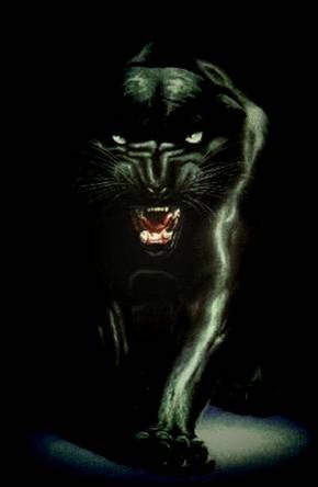 №2, Анна Григорьева №2, Анна Григорьева