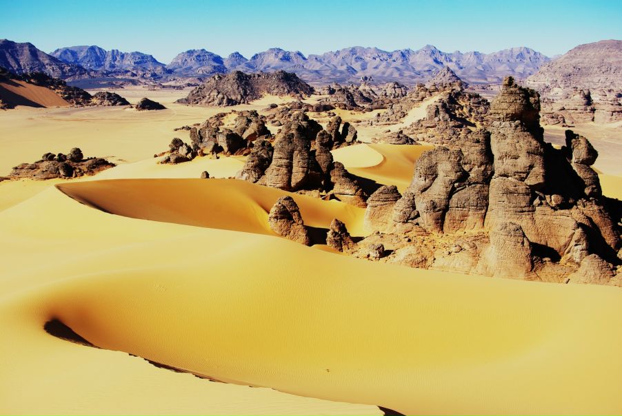 №39, Маша Кузенманн, 121 год, Киев №39, Маша Кузенманн, 121 год, Киев