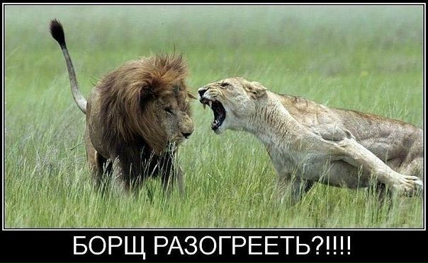 №32, Екатерина Янгель, Москва №32, Екатерина Янгель, Москва