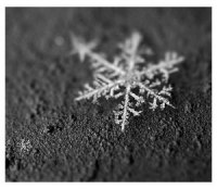 Ольга Осадча | 