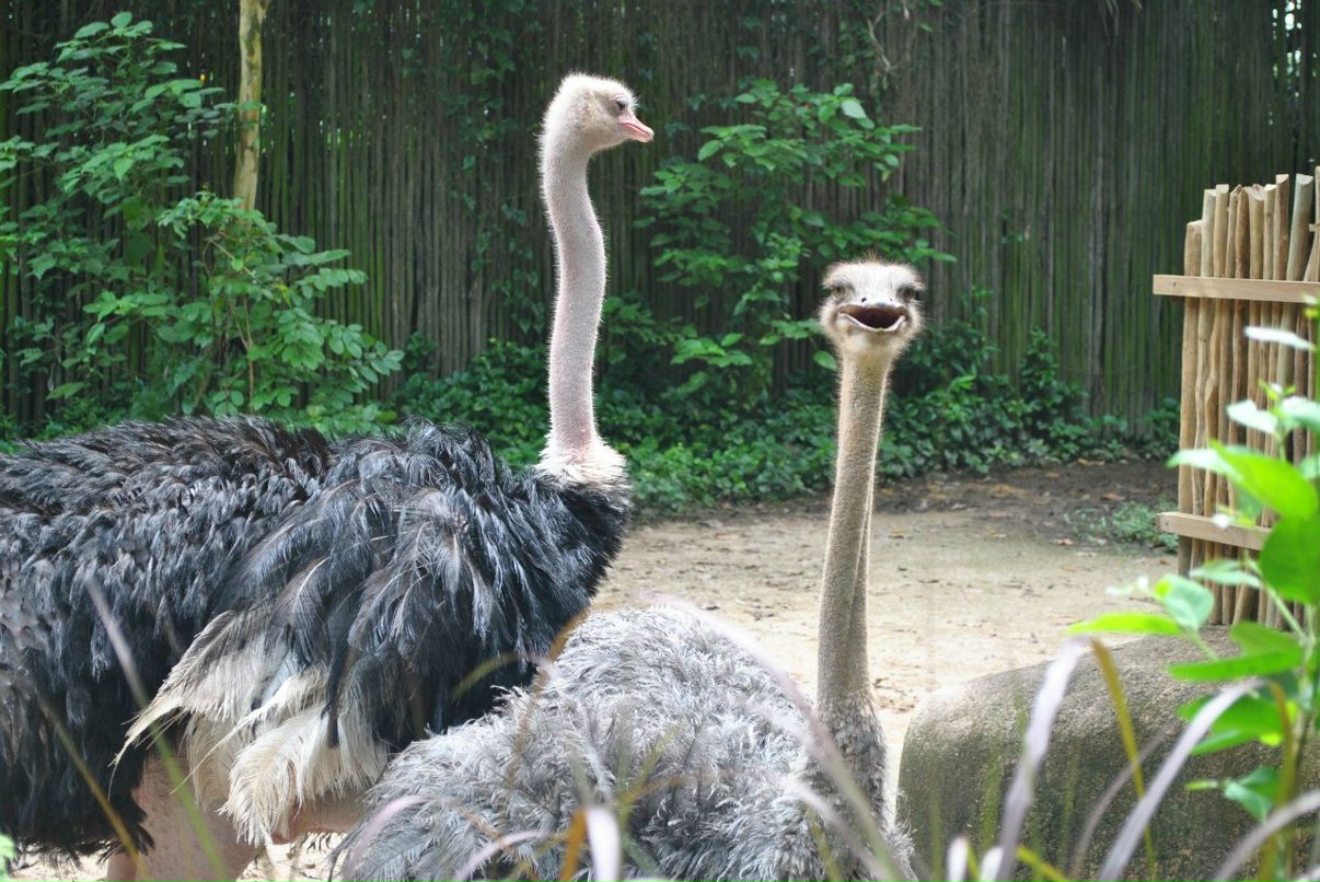 Юлия Трофимова | Москва