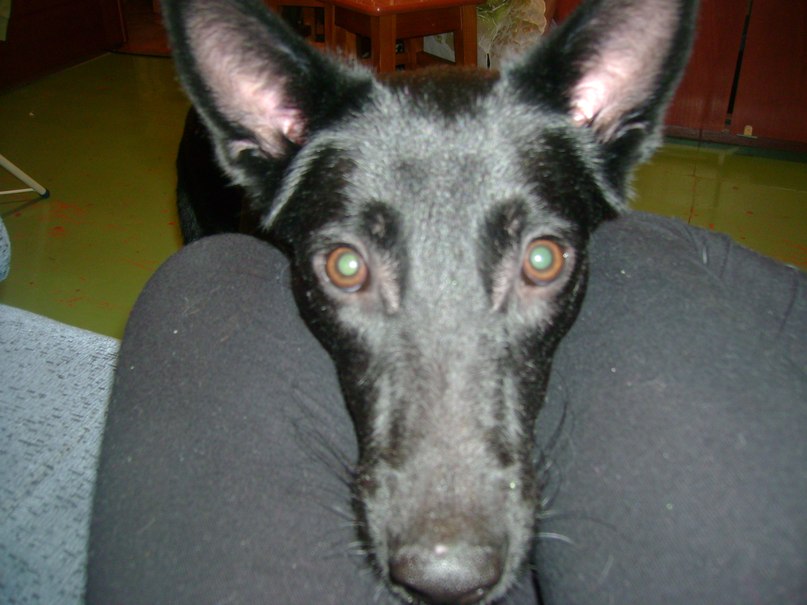 Полина Хромова | Ульяновск