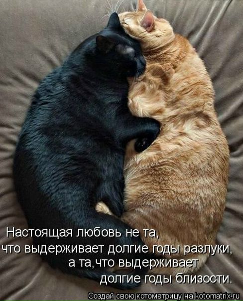 №121, Юлия Белоусова, 38 лет, Анапа №121, Юлия Белоусова, 38 лет, Анапа