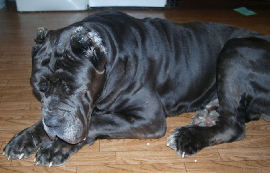 №49, Елена Якупова, Санкт-Петербург №49, Елена Якупова, Санкт-Петербург