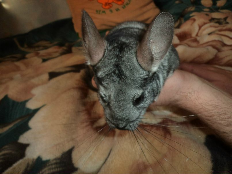 Ирина Сергеева | Пушкино