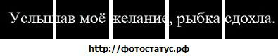 №1 Ирина Караева 20.09: профиль, фото, статус - ВКонтакте №1 Ирина Караева 20.09: профиль, фото, статус - ВКонтакте