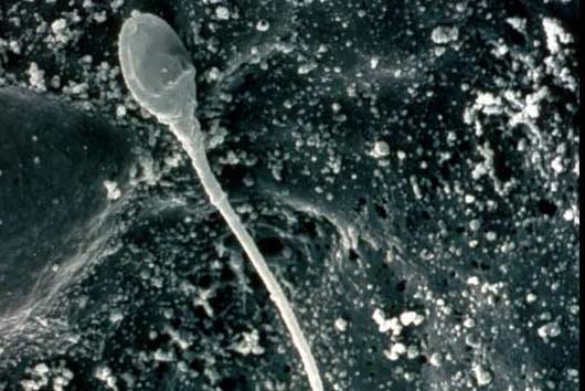 №103, Андрей Благовестный, Ош, Кыргызстан №103, Андрей Благовестный, Ош, Кыргызстан