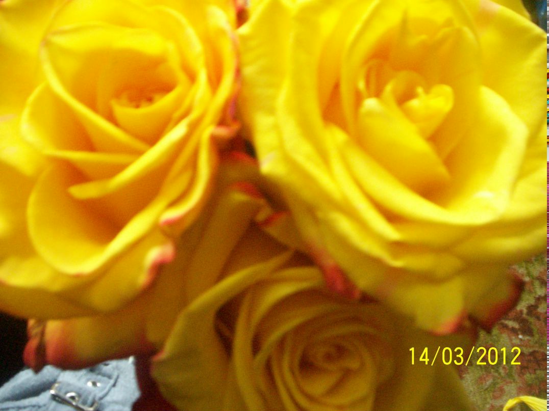 Ильмира Шарифуллина Ильдаровна | Альметьевск