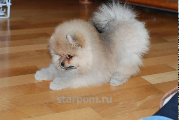 №6, Елизавета Михайловна, Архангельск №6, Елизавета Михайловна, Архангельск