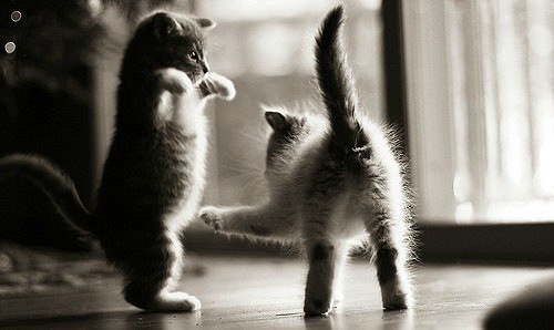 №40, Анастасия Романова, 34 года, Сургут №40, Анастасия Романова, 34 года, Сургут