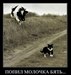 Роман Герасимов фотография #18