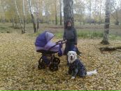 №1 Ольга Белодед 23.03: профиль, фото, статус - ВКонтакте №1 Ольга Белодед 23.03: профиль, фото, статус - ВКонтакте