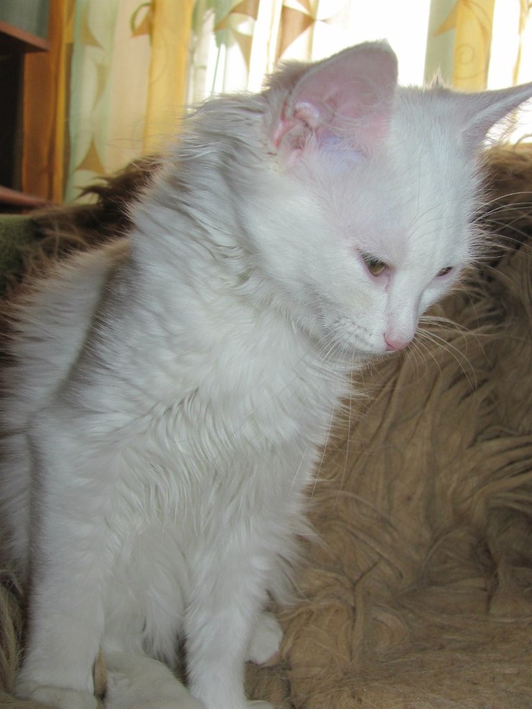 Анастасия Кузнецова ˜”*°•Кузя•°*”˜ | Ялта