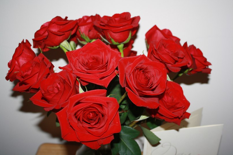 Мариам Эфендиева | Смоленск