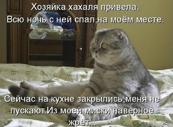 №80, Катерина Николаенко, 30.10, Тюмень №80, Катерина Николаенко, 30.10, Тюмень