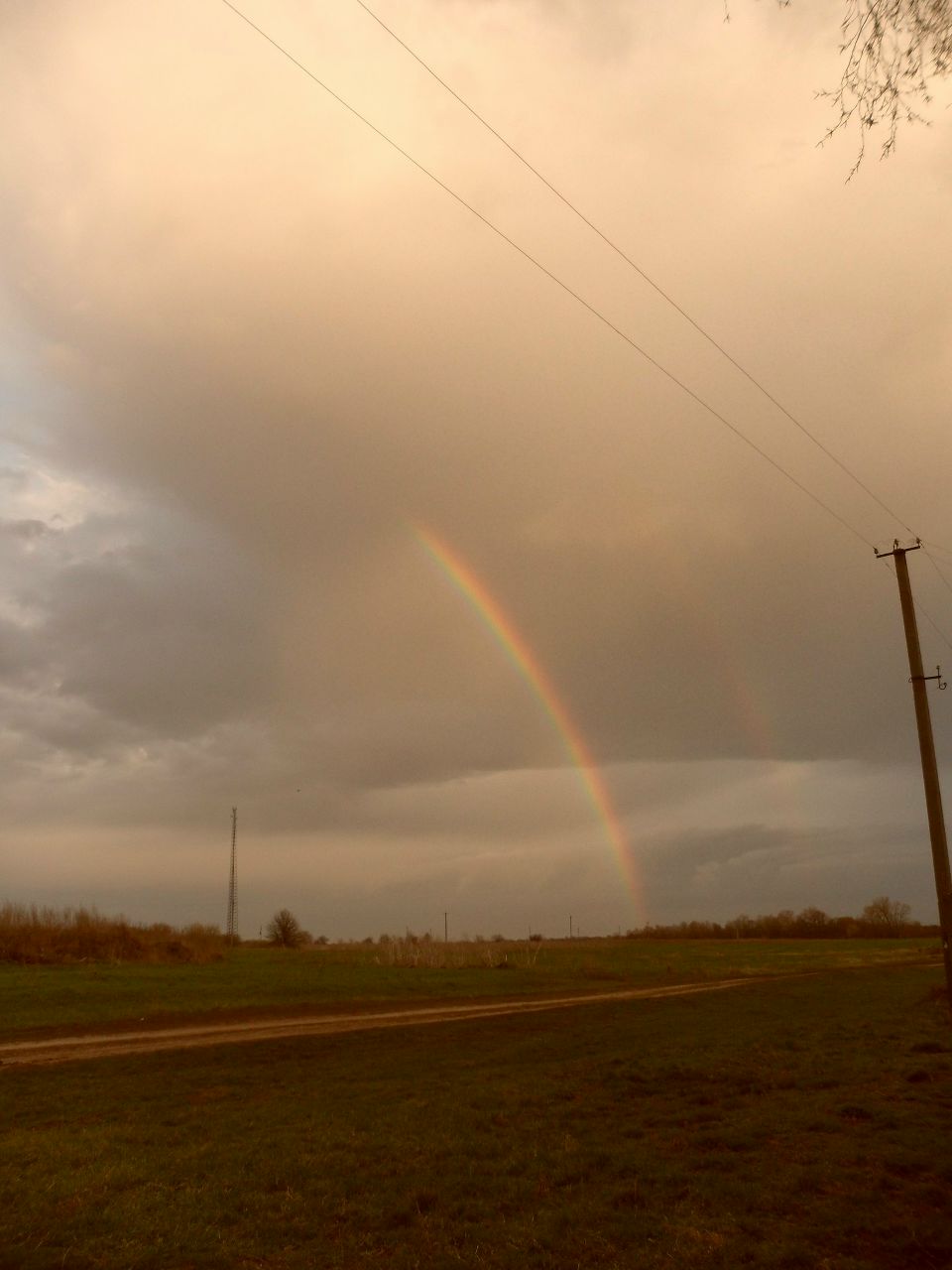 Анастасия Головаш | Киев