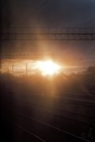 Олег Куролесов, , 20.04