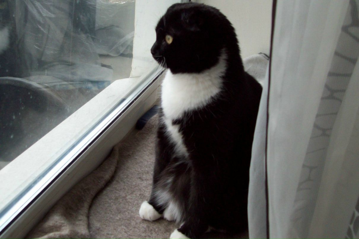 Самуил Шурухт | Санкт-Петербург