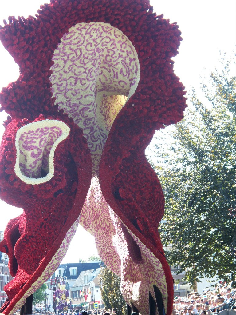 Марина Князева | Москва