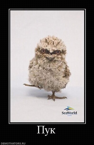 Олег Гурков | Рогачев