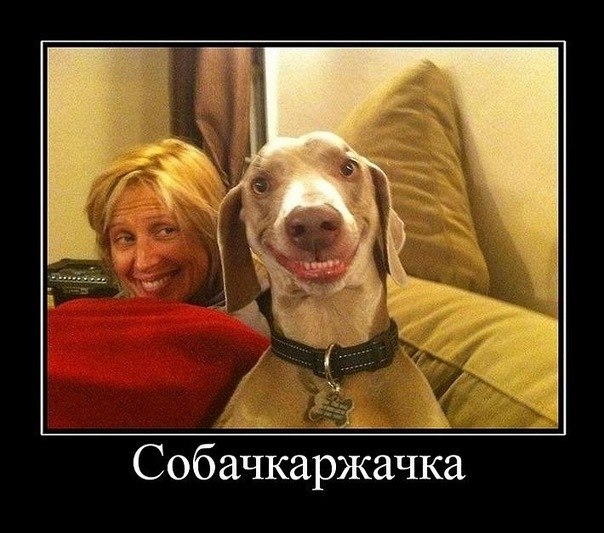 №4, Кусок Лаваша, Москва №4, Кусок Лаваша, Москва