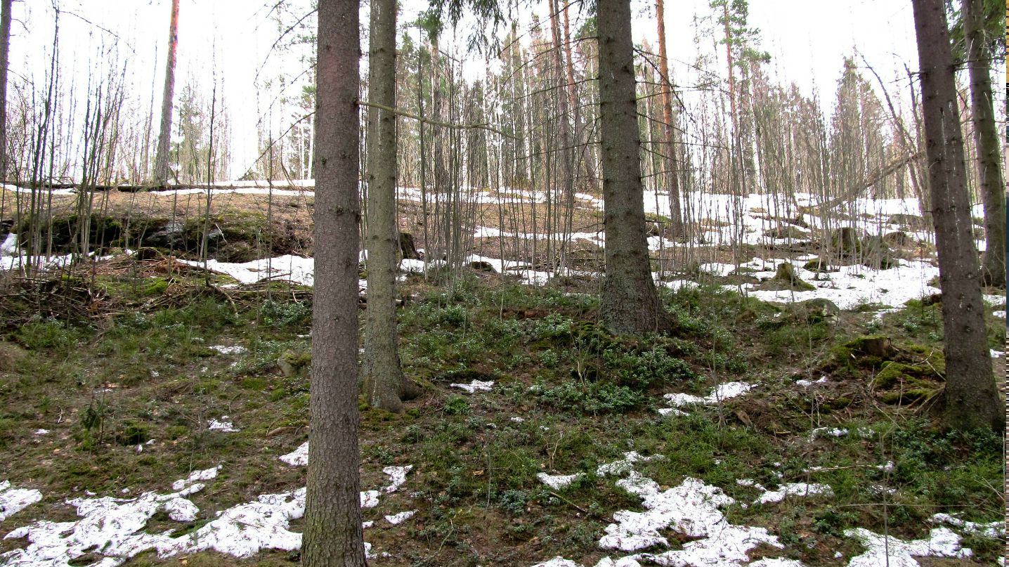 Никита Уразметов | 