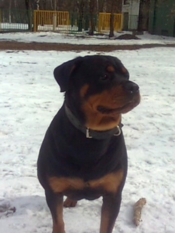 Юльчик Мосина | Москва