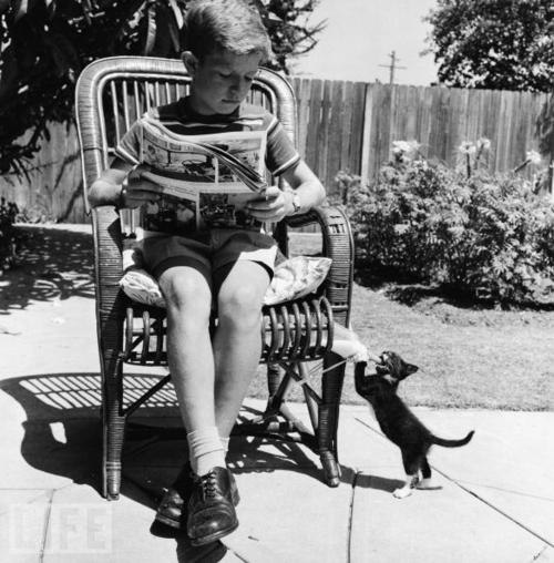 Женя Гостюк | 