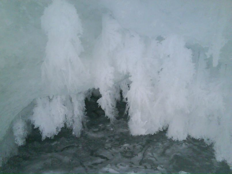 Сергей Травкин Суслик-путешественник))) | Улан-Удэ