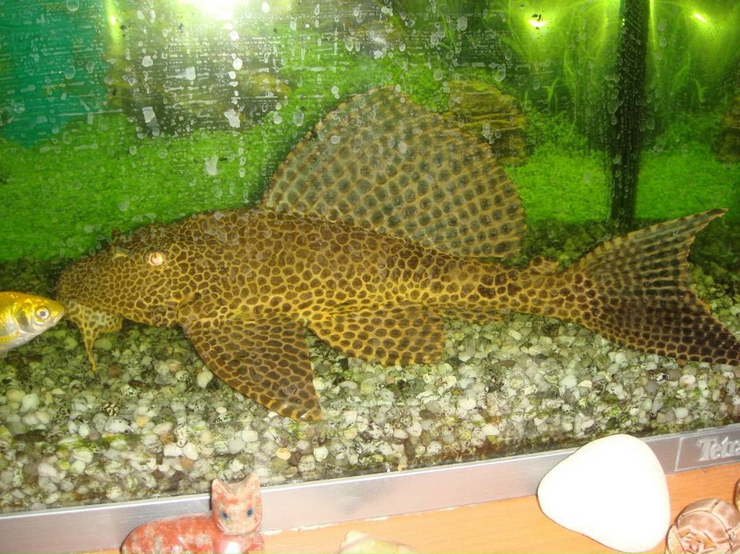 Вика Бондаренко | Киев