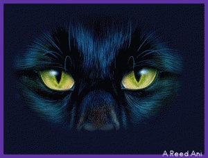 Холида Амануллина | Казань