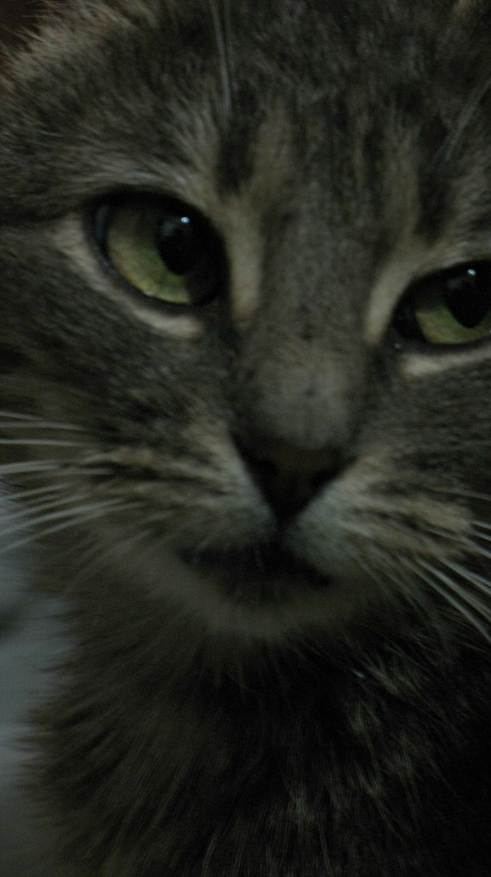 Анна Дерновая | Харьков