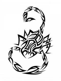 Mohamad Alsaleh | Ludwigshafen am Rhein