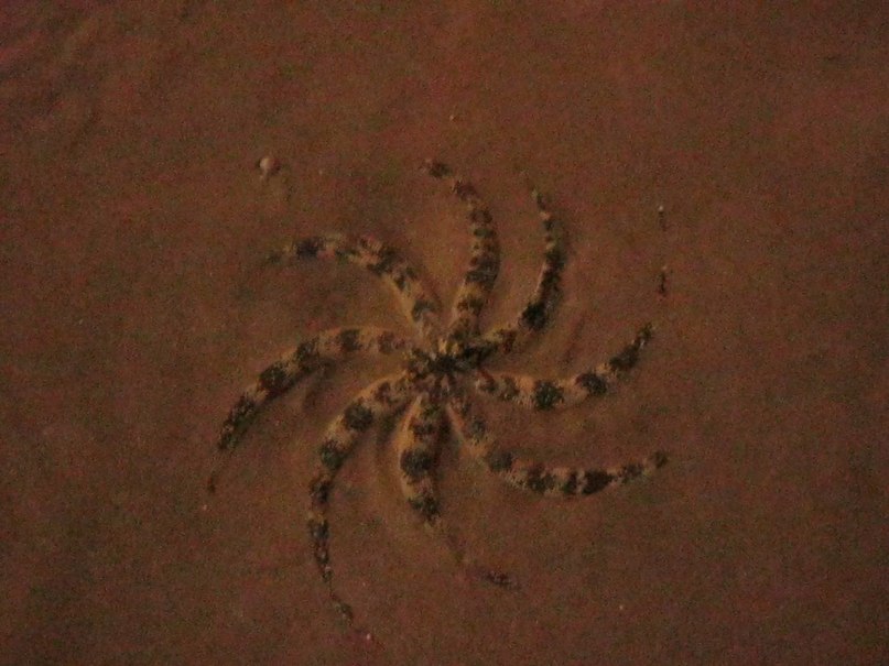 Татьяна Царькова | Домодедово