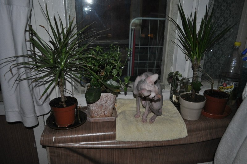 Александр Мезников | Воркута