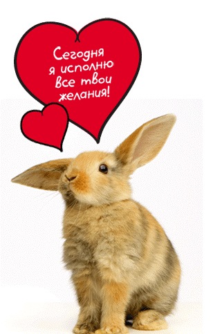 №2, Елена Рудакова, 35 лет, Челябинск №2, Елена Рудакова, 35 лет, Челябинск