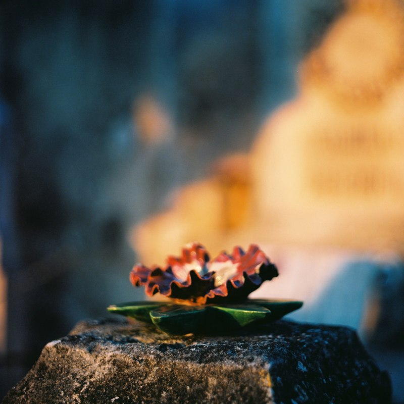 Люси Лёфлок | Саратов