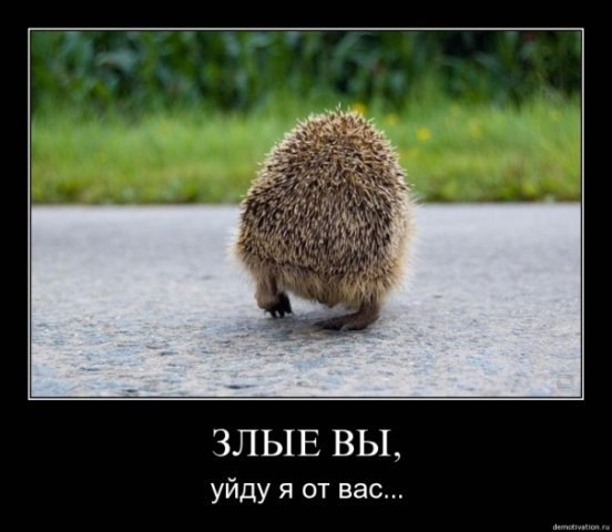 Славик Алексеев | Белая Церковь