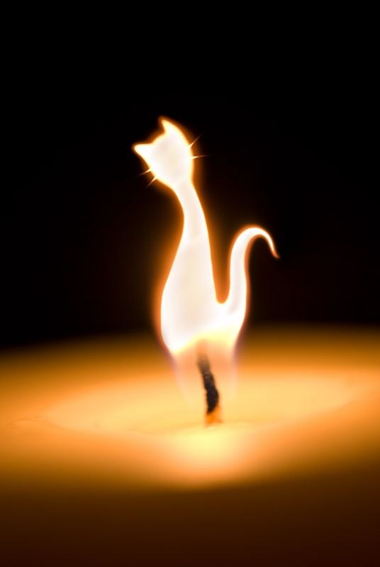 Katrin Pozdneeva | Совхоза «Россия»