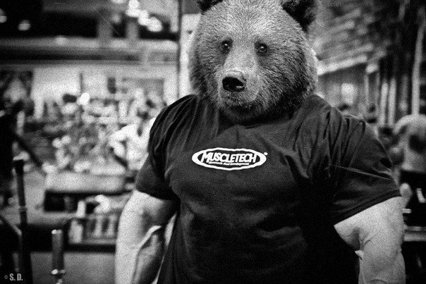 Дмитрий Гридчин | Новокузнецк