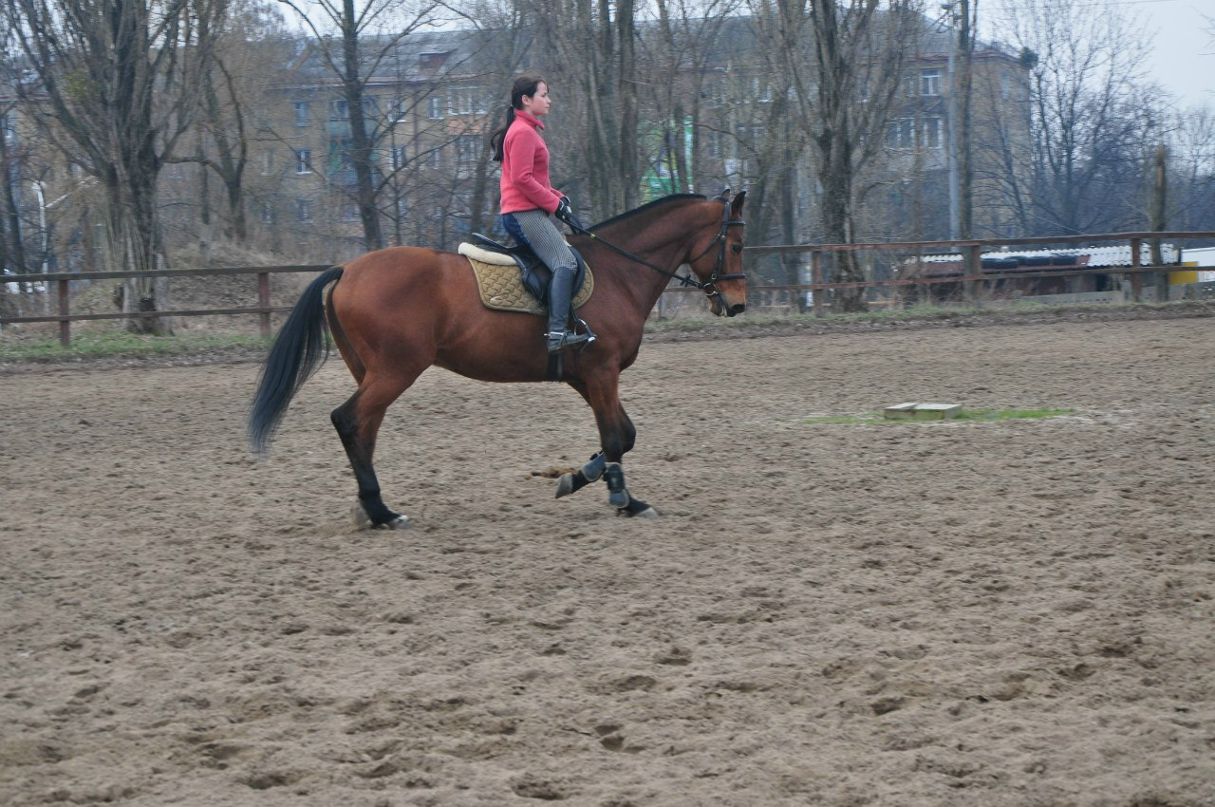 Olja Noname | Киев