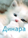 №34 Динара Аттокурова 18.11.1998: профиль, фото, статус - ВКонтакте