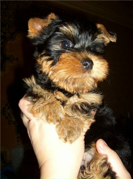 №10, Сергей Лопатюк, 50 лет, Санкт-Петербург №10, Сергей Лопатюк, 50 лет, Санкт-Петербург